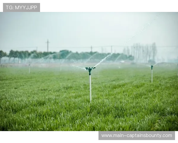 伯纳乌草皮更换完成，引入智能灌溉系统